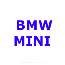 BMW MINI